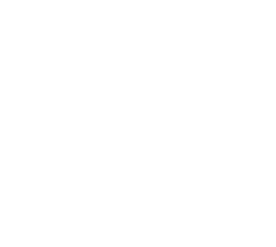 Armsaholic